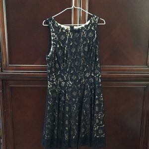 Black Lace Fit and Flare Dress